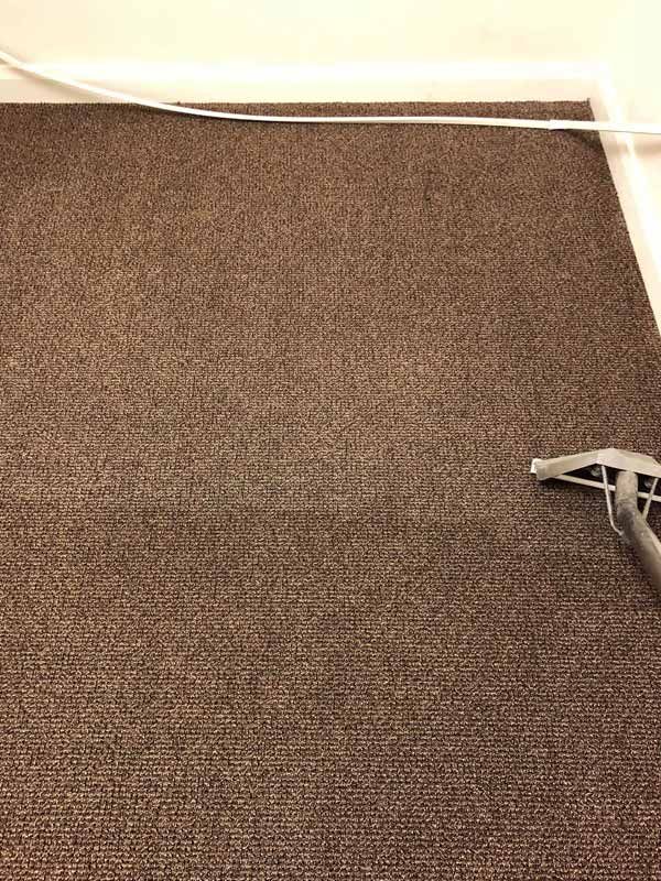 Carpet Cleaning Results St George Ut