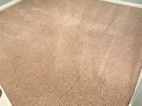 Pet Stain Odor Removal Results St George UT