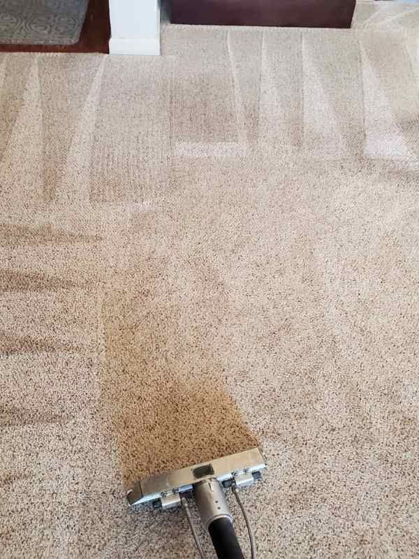 Carpet Cleaning Team Results St George UT